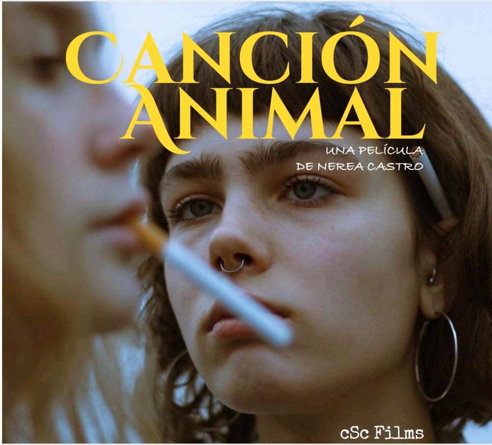 Cartel de CANCIÓN ANIMAL